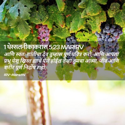 Picture 02 - 1 थेस्सलनीकाकरांस 5:23 MARIRV - आणि स्वतः शांतीचा - Bible Verse Picture