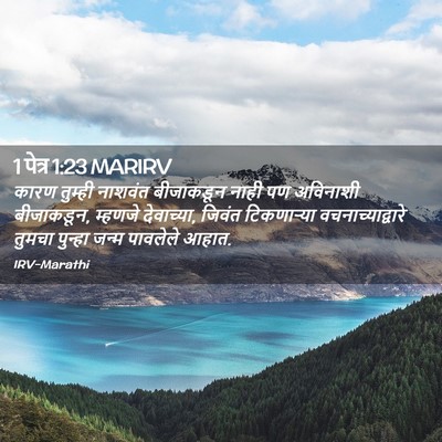 Picture 02 - 1 पेत्र 1:23 MARIRV - कारण तुम्ही - Bible Verse Picture