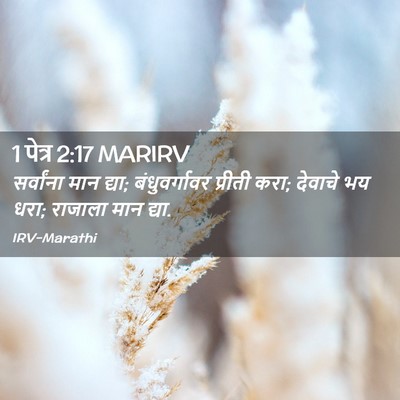 Picture 02 - 1 पेत्र 2:17 MARIRV - सर्वांना मान द्या; - Bible Verse Picture