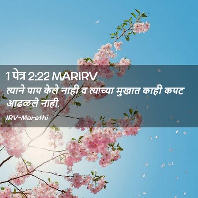 Picture 02 - 1 पेत्र 2:22 MARIRV - त्याने पाप केले - Bible Verse Picture