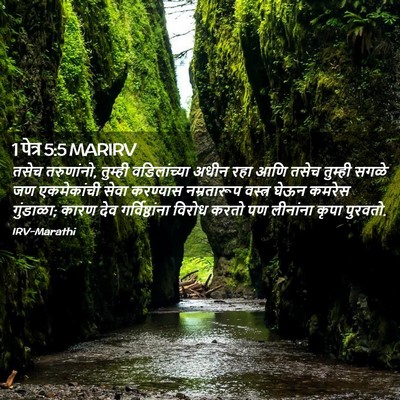 Picture 02 - 1 पेत्र 5:5 MARIRV - तसेच तरुणांनो, - Bible Verse Picture