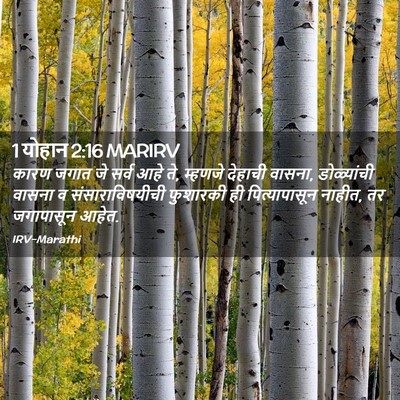 Picture 02 - 1 योहान 2:16 MARIRV - कारण जगात जे सर्व - Bible Verse Picture