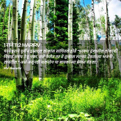 Picture 02 - 1 राजे 11:2 MARIRV - परमेश्वराने - Bible Verse Picture