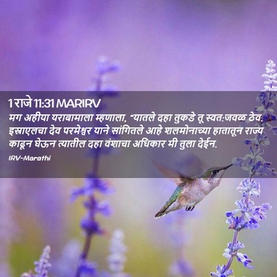 Picture 02 - 1 राजे 11:31 MARIRV - मग अहीया - Bible Verse Picture