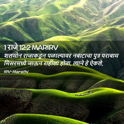 Picture 02 - 1 राजे 12:2 MARIRV - शलमोन राजाकडून - Bible Verse Picture