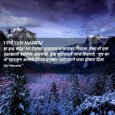 Picture 02 - 1 राजे 13:14 MARIRV - हा वृध्द संदेष्टा - Bible Verse Picture