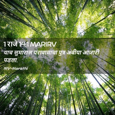 Picture 02 - 1 राजे 14:1 MARIRV - याच सुमारास - Bible Verse Picture
