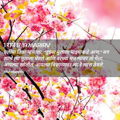Picture 02 - 1 राजे 17:19 MARIRV - एलीया तिला - Bible Verse Picture