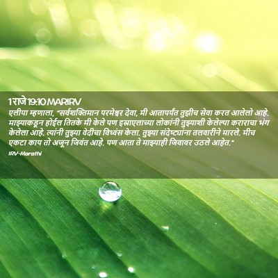 Picture 02 - 1 राजे 19:10 MARIRV - एलीया म्हणाला, - Bible Verse Picture