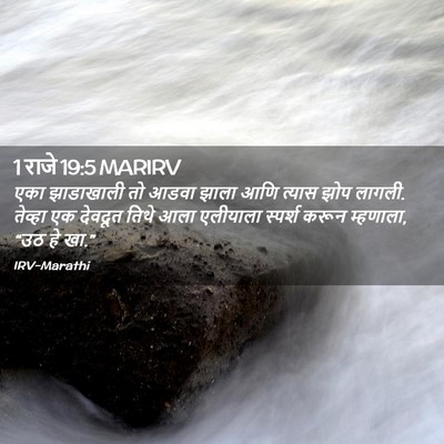 Picture 02 - 1 राजे 19:5 MARIRV - एका झाडाखाली तो - Bible Verse Picture