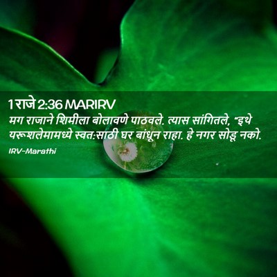 Picture 02 - 1 राजे 2:36 MARIRV - मग राजाने शिमीला - Bible Verse Picture