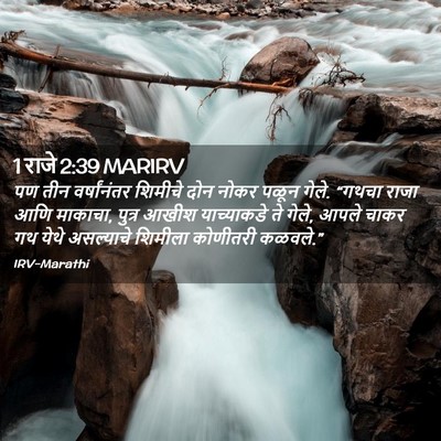 Picture 02 - 1 राजे 2:39 MARIRV - पण तीन वर्षांनंतर - Bible Verse Picture