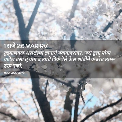 Picture 02 - 1 राजे 2:6 MARIRV - तुझ्याजवळ - Bible Verse Picture