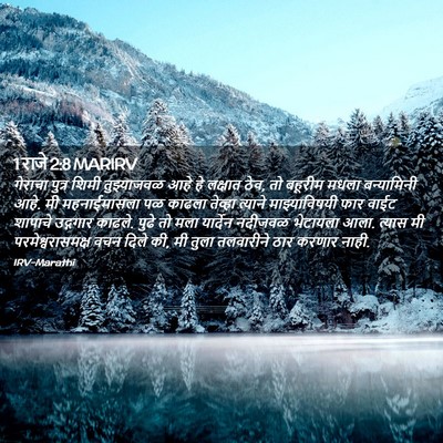 Picture 02 - 1 राजे 2:8 MARIRV - गेराचा पुत्र शिमी - Bible Verse Picture