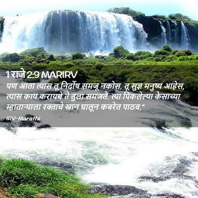 Picture 02 - 1 राजे 2:9 MARIRV - पण आता त्यास तू - Bible Verse Picture
