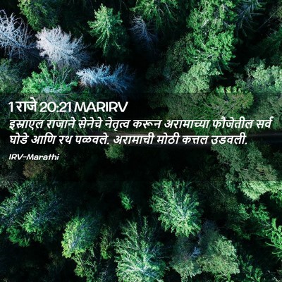 Picture 02 - 1 राजे 20:21 MARIRV - इस्राएल राजाने - Bible Verse Picture