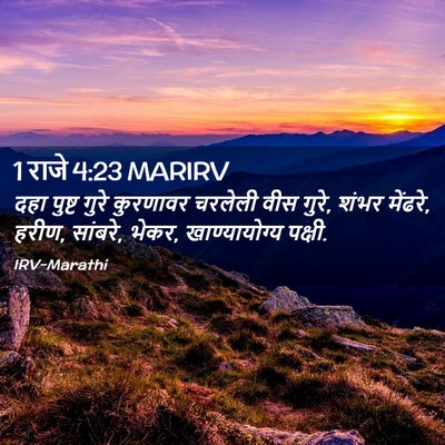 Picture 02 - 1 राजे 4:23 MARIRV - दहा पुष्ट गुरे - Bible Verse Picture