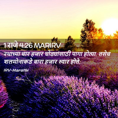 Picture 02 - 1 राजे 4:26 MARIRV - रथाच्या चार हजार - Bible Verse Picture