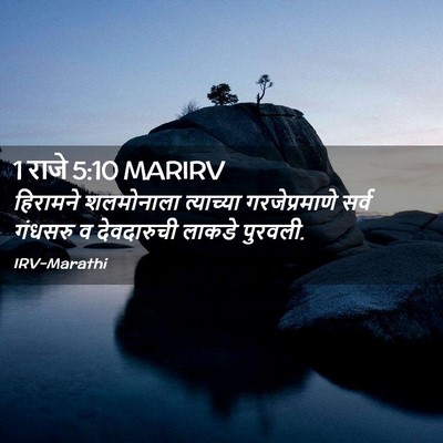 Picture 02 - 1 राजे 5:10 MARIRV - हिरामने शलमोनाला - Bible Verse Picture