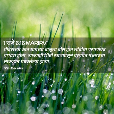 Picture 02 - 1 राजे 6:16 MARIRV - मंदिराच्या आत - Bible Verse Picture
