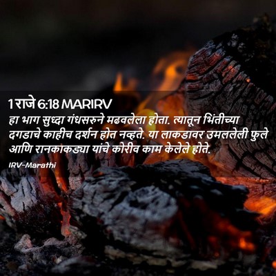Picture 02 - 1 राजे 6:18 MARIRV - हा भाग सुध्दा - Bible Verse Picture