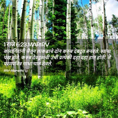 Picture 02 - 1 राजे 6:23 MARIRV - कारागिरांनी जैतून - Bible Verse Picture