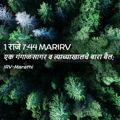 Picture 02 - 1 राजे 7:44 MARIRV - एक गंगाळसागर व - Bible Verse Picture