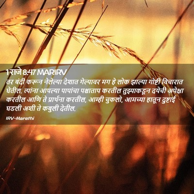 Picture 02 - 1 राजे 8:47 MARIRV - तर बंदी करून - Bible Verse Picture