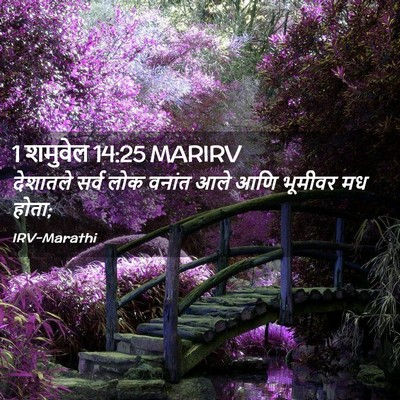 Picture 02 - 1 शमुवेल 14:25 MARIRV - देशातले सर्व लोक - Bible Verse Picture