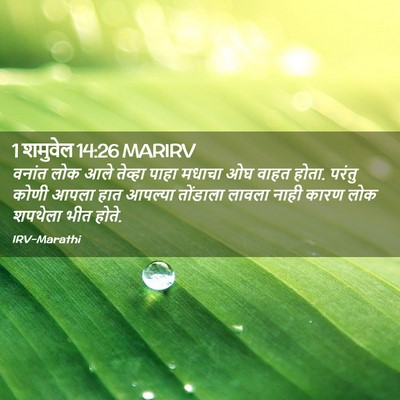 Picture 02 - 1 शमुवेल 14:26 MARIRV - वनांत लोक आले - Bible Verse Picture
