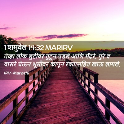 Picture 02 - 1 शमुवेल 14:32 MARIRV - तेव्हा लोक लुटीवर - Bible Verse Picture