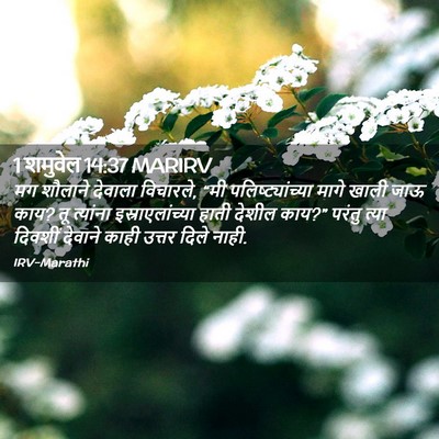Picture 02 - 1 शमुवेल 14:37 MARIRV - मग शौलाने देवाला - Bible Verse Picture