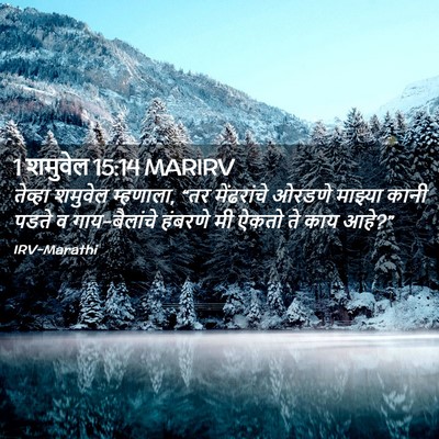 Picture 02 - 1 शमुवेल 15:14 MARIRV - तेव्हा शमुवेल - Bible Verse Picture