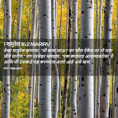 Picture 02 - 1 शमुवेल 16:2 MARIRV - तेव्हा शमुवेल - Bible Verse Picture