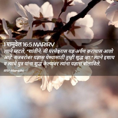 Picture 02 - 1 शमुवेल 16:5 MARIRV - त्याने म्हटले, - Bible Verse Picture