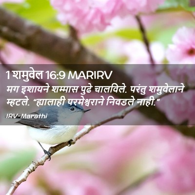 Picture 02 - 1 शमुवेल 16:9 MARIRV - मग इशायने शम्मास - Bible Verse Picture