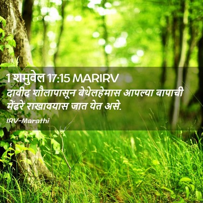Picture 02 - 1 शमुवेल 17:15 MARIRV - दावीद शौलापासून - Bible Verse Picture