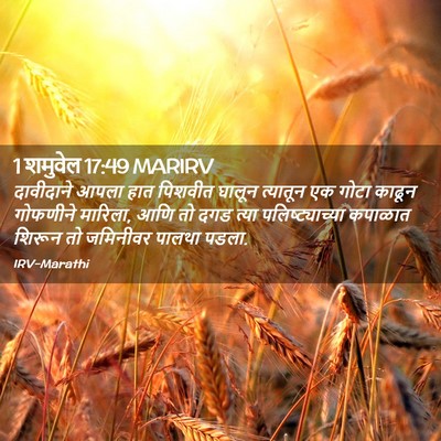 Picture 02 - 1 शमुवेल 17:49 MARIRV - दावीदाने आपला हात - Bible Verse Picture