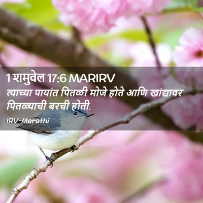 Picture 02 - 1 शमुवेल 17:6 MARIRV - त्याच्या पायांत - Bible Verse Picture