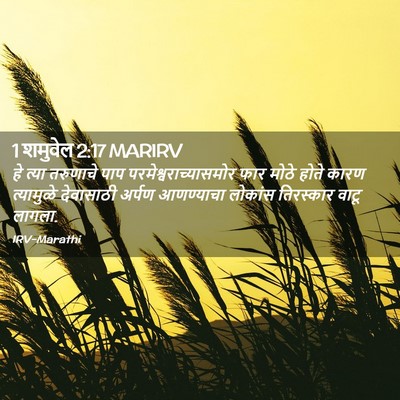 Picture 02 - 1 शमुवेल 2:17 MARIRV - हे त्या तरुणाचे - Bible Verse Picture
