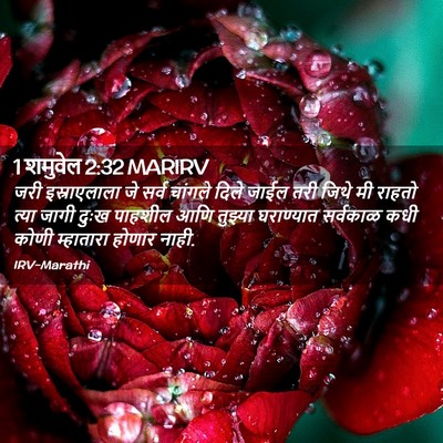 Picture 02 - 1 शमुवेल 2:32 MARIRV - जरी इस्राएलाला जे - Bible Verse Picture