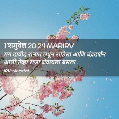 Picture 02 - 1 शमुवेल 20:24 MARIRV - मग दावीद रानात - Bible Verse Picture