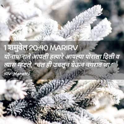 Picture 02 - 1 शमुवेल 20:40 MARIRV - योनाथानाने आपली - Bible Verse Picture