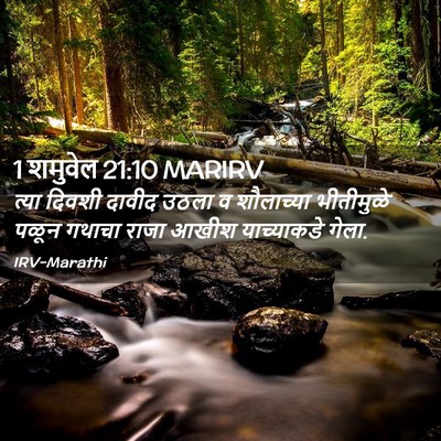 Picture 02 - 1 शमुवेल 21:10 MARIRV - त्या दिवशी दावीद - Bible Verse Picture