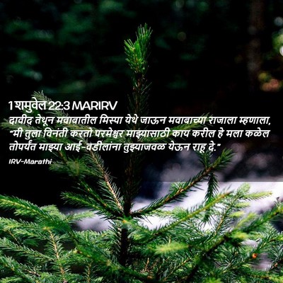 Picture 02 - 1 शमुवेल 22:3 MARIRV - दावीद तेथून - Bible Verse Picture