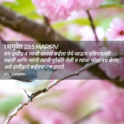 Picture 02 - 1 शमुवेल 23:5 MARIRV - मग दावीद व त्याची - Bible Verse Picture