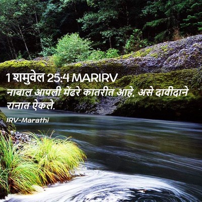 Picture 02 - 1 शमुवेल 25:4 MARIRV - नाबाल आपली मेंढरे - Bible Verse Picture