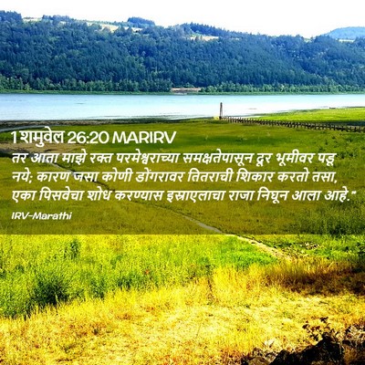 Picture 02 - 1 शमुवेल 26:20 MARIRV - तर आता माझे रक्त - Bible Verse Picture