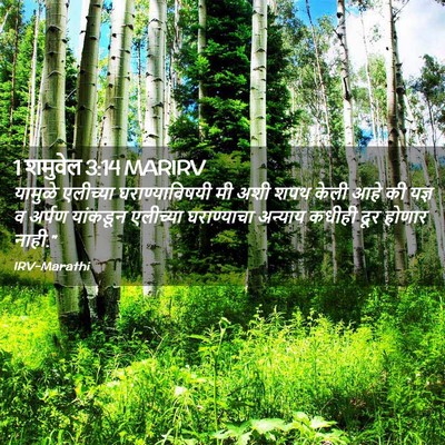 Picture 02 - 1 शमुवेल 3:14 MARIRV - यामुळे एलीच्या - Bible Verse Picture