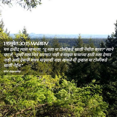 Picture 02 - 1 शमुवेल 30:15 MARIRV - मग दावीद त्यास - Bible Verse Picture